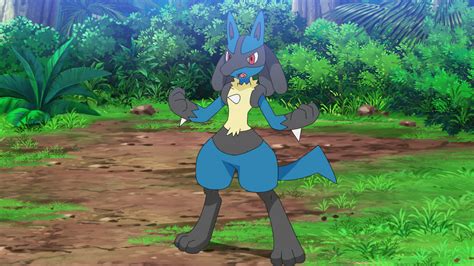 Ash's Lucario .